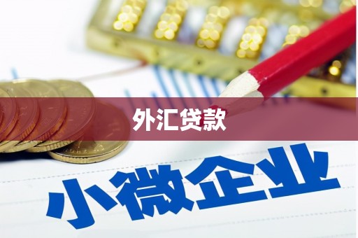 新乡外汇贷款
