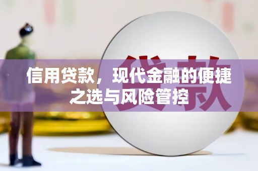 新乡信用贷款，现代金融的便捷之选与风险管控