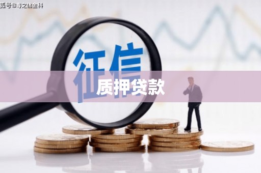 新乡质押贷款