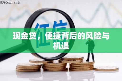 新乡现金贷，便捷背后的风险与机遇