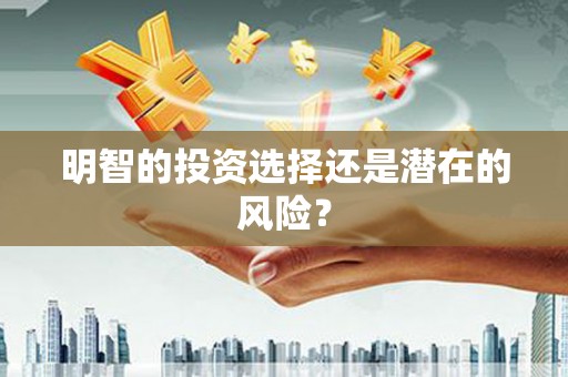 新乡明智的投资选择还是潜在的风险？