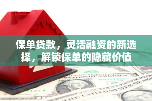 新乡保单贷款，灵活融资的新选择，解锁保单的隐藏价值