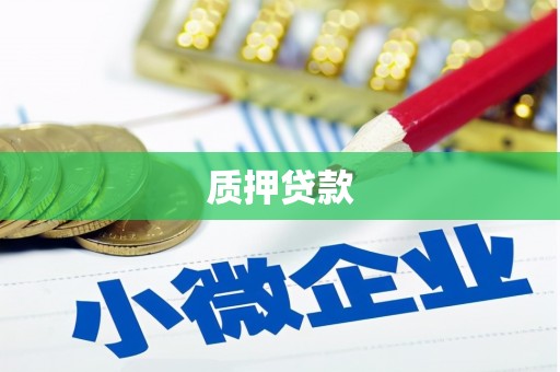 新乡质押贷款