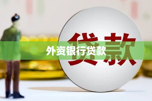 新乡外资银行贷款