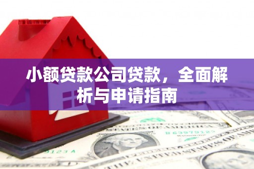 新乡小额贷款公司贷款，全面解析与申请指南