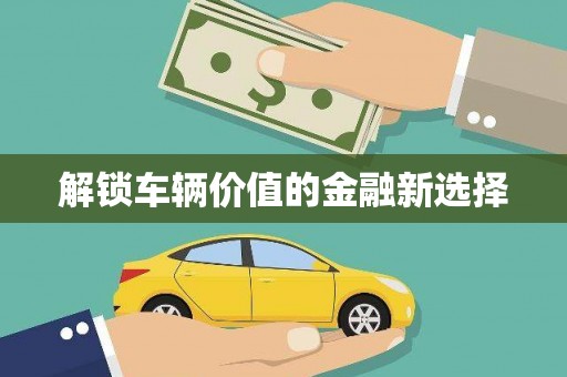 新乡解锁车辆价值的金融新选择