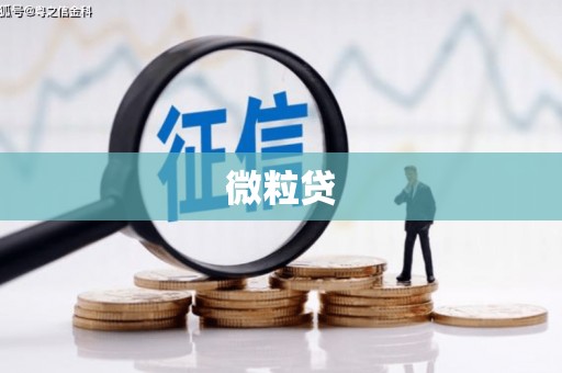 新乡微粒贷