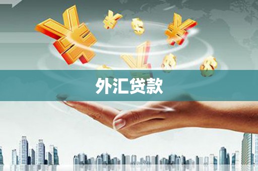 新乡外汇贷款