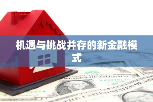 新乡机遇与挑战并存的新金融模式
