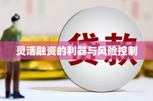 新乡灵活融资的利器与风险控制