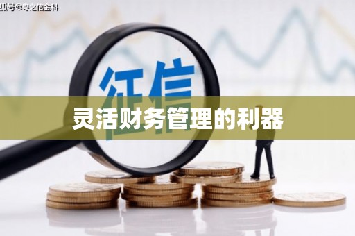 新乡灵活财务管理的利器