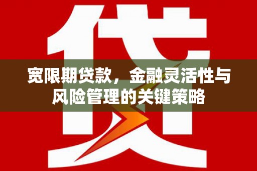 新乡宽限期贷款，金融灵活性与风险管理的关键策略