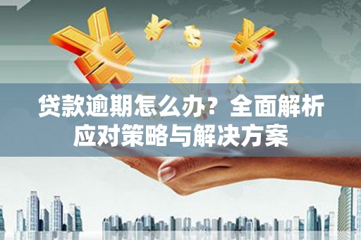 新乡贷款逾期怎么办？全面解析应对策略与解决方案