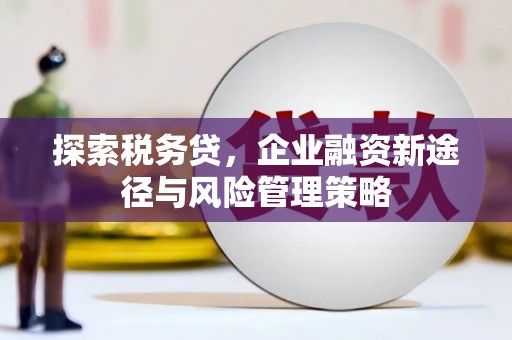新乡探索税务贷，企业融资新途径与风险管理策略