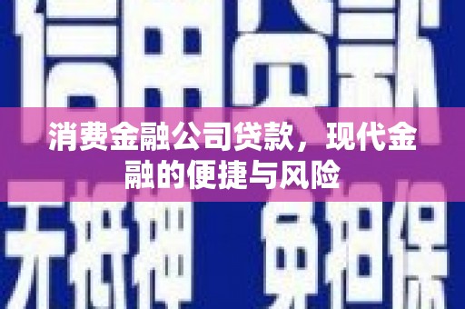新乡消费金融公司贷款，现代金融的便捷与风险