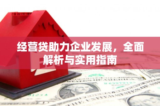 新乡经营贷助力企业发展，全面解析与实用指南