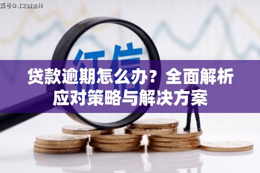 新乡贷款逾期怎么办？全面解析应对策略与解决方案