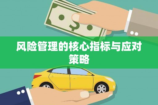 新乡风险管理的核心指标与应对策略