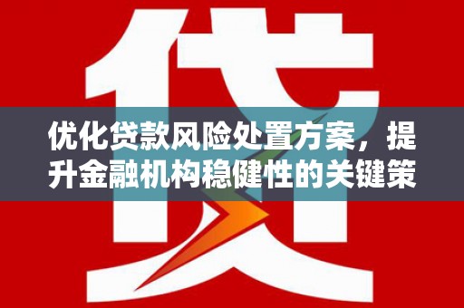 新乡优化贷款风险处置方案，提升金融机构稳健性的关键策略