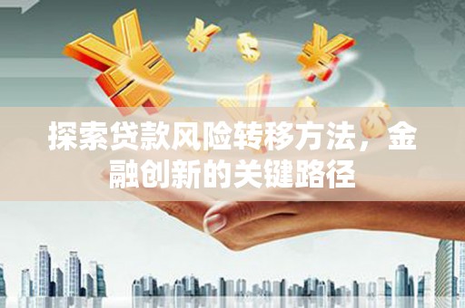 新乡探索贷款风险转移方法，金融创新的关键路径