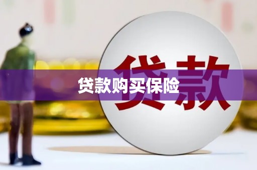 新乡贷款购买保险