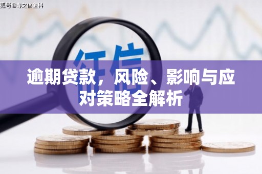 新乡逾期贷款，风险、影响与应对策略全解析