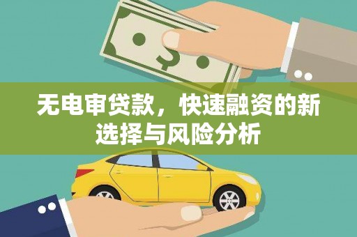 新乡无电审贷款，快速融资的新选择与风险分析