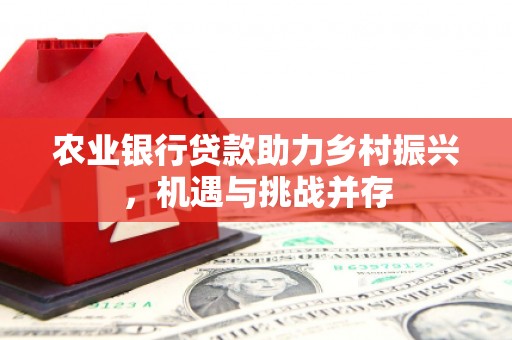 新乡农业银行贷款助力乡村振兴，机遇与挑战并存