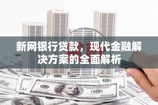 新乡新网银行贷款，现代金融解决方案的全面解析