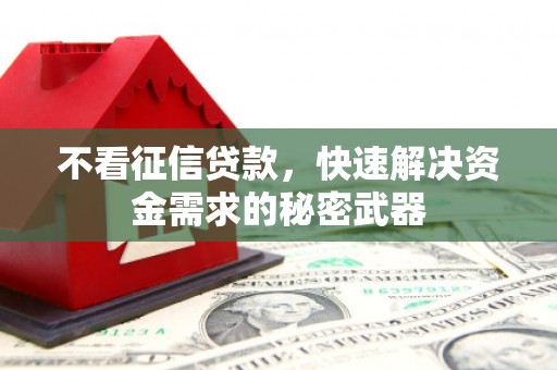 新乡不看征信贷款，快速解决资金需求的秘密武器