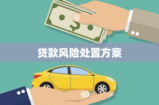 新乡贷款风险处置方案