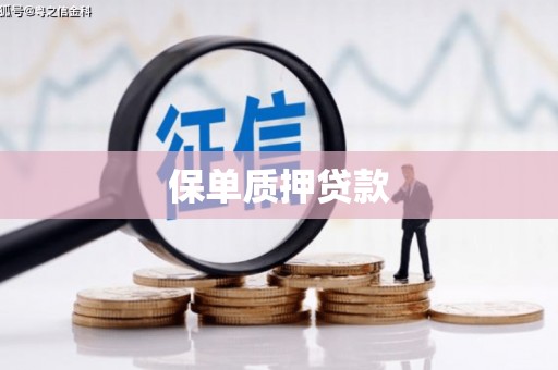 新乡保单质押贷款
