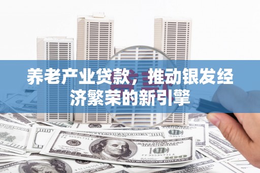 新乡养老产业贷款，推动银发经济繁荣的新引擎