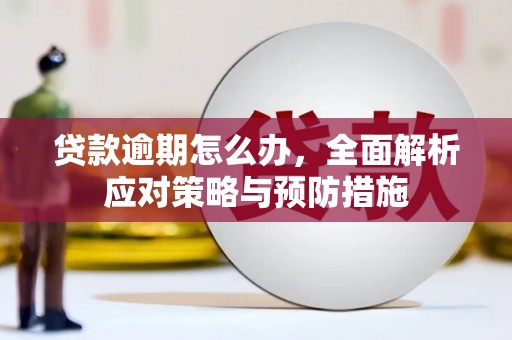 新乡贷款逾期怎么办，全面解析应对策略与预防措施