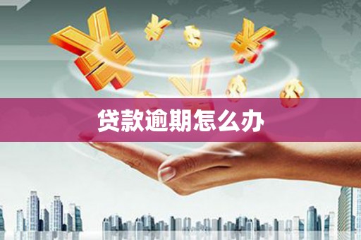 新乡贷款逾期怎么办