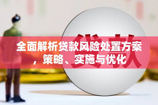 新乡全面解析贷款风险处置方案，策略、实施与优化