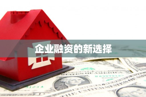 新乡企业融资的新选择