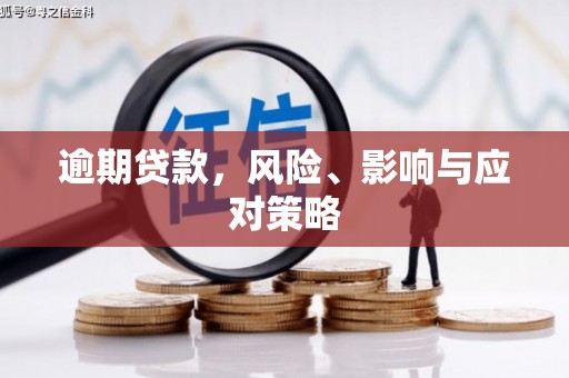 新乡逾期贷款，风险、影响与应对策略