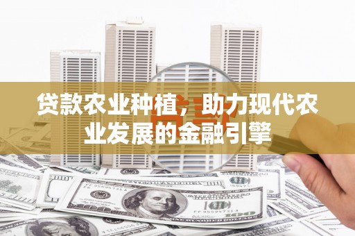 新乡贷款农业种植，助力现代农业发展的金融引擎