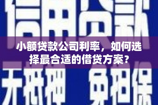 新乡小额贷款公司利率，如何选择最合适的借贷方案？