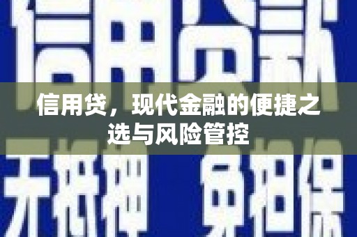 新乡信用贷，现代金融的便捷之选与风险管控