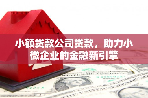新乡小额贷款公司贷款，助力小微企业的金融新引擎