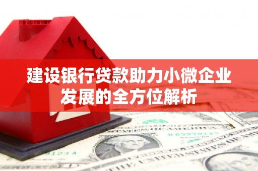 新乡建设银行贷款助力小微企业发展的全方位解析
