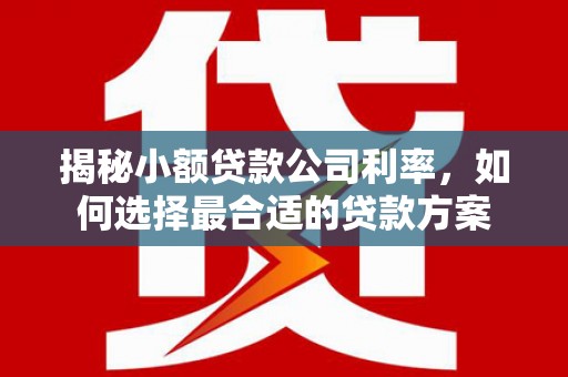 新乡揭秘小额贷款公司利率，如何选择最合适的贷款方案