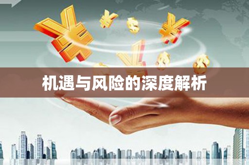 新乡机遇与风险的深度解析