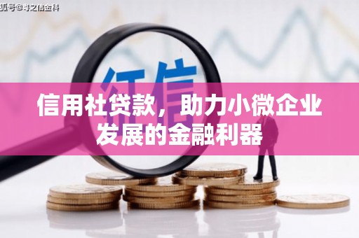 新乡信用社贷款，助力小微企业发展的金融利器