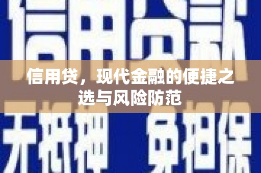 新乡信用贷，现代金融的便捷之选与风险防范