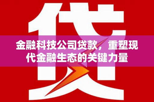 新乡金融科技公司贷款，重塑现代金融生态的关键力量