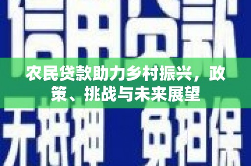 新乡农民贷款助力乡村振兴，政策、挑战与未来展望