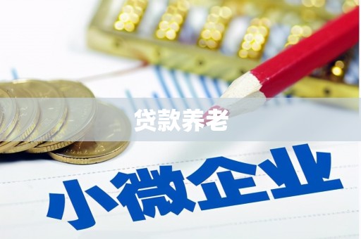新乡贷款养老